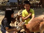 【動物と間近で触れあう】ノースサファリサッポロ入園券付きプラン登場！