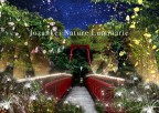 ＜終了＞Jozankei Nature Luminarie 開催のお知らせ