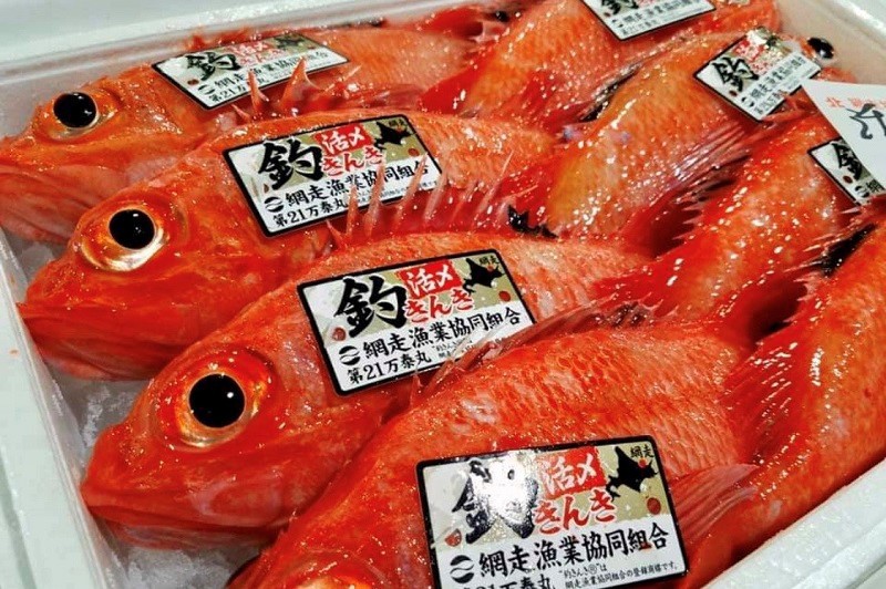 希少価値の高いブランド魚「釣りキンキ」