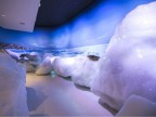 【北天の丘】流氷世界を体験！「オホーツク流氷館入場券&流氷ソフト付き」プラン 登場