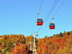 【森の謌】定山渓で紅葉狩り！紅葉ゴンドラ乗車券付きプラン 登場