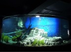 【水の謌】水族館入場券付き！鮭を間近で観察「千歳水族館入場券付き」プラン 