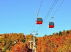 【森の謌】定山渓で紅葉狩り！紅葉ゴンドラ乗車引換券付きプラン 登場