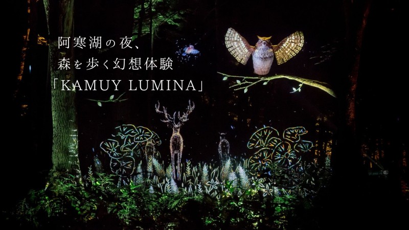 阿寒湖の夜、森を歩く幻想体験「KAMUY LUMINA」
