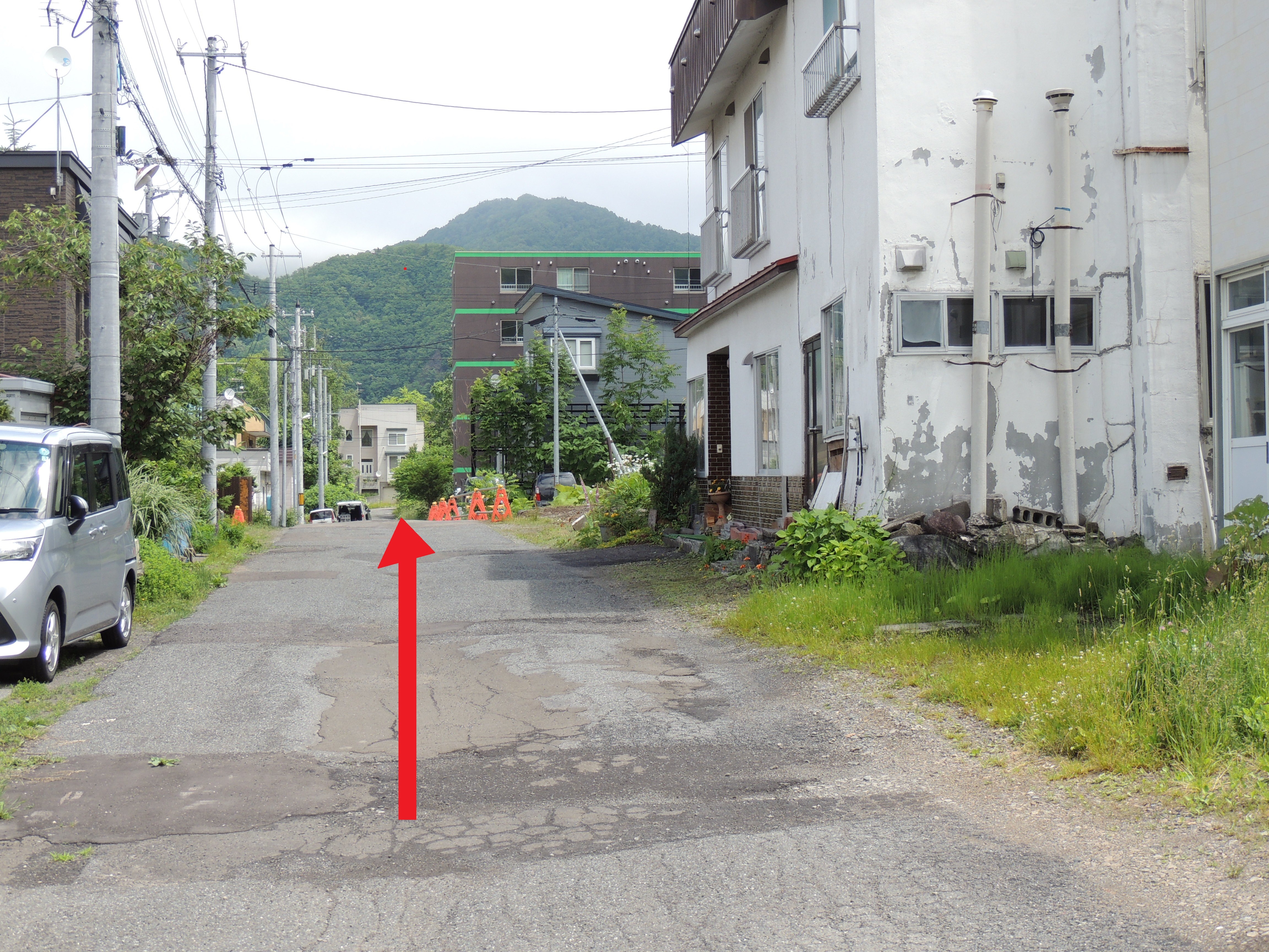 ?√??絖?莊??障?х?顔??
