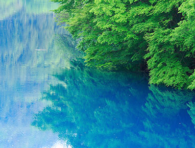 イメージ：碧の湖と、美しい森