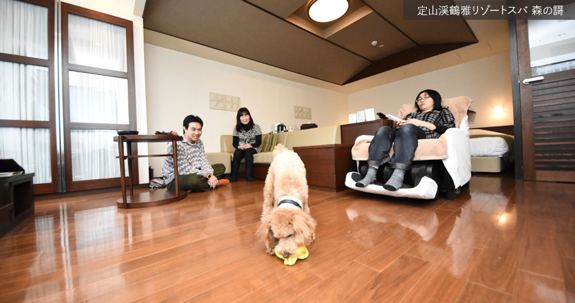 北海道の愛犬と泊まれる宿なら | 鶴雅グループで楽しむわんわん旅