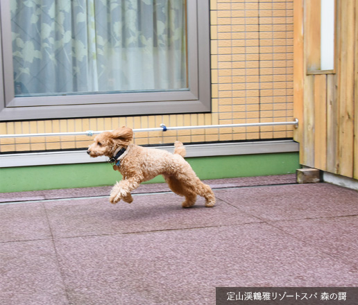 ワンちゃんもうれしい施設が充実