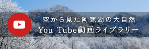 YouTube動画ライブラリー