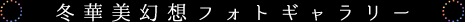 冬華美幻想フォトギャラリー