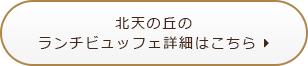 北天の丘のランチビュッフェ詳細はこちら