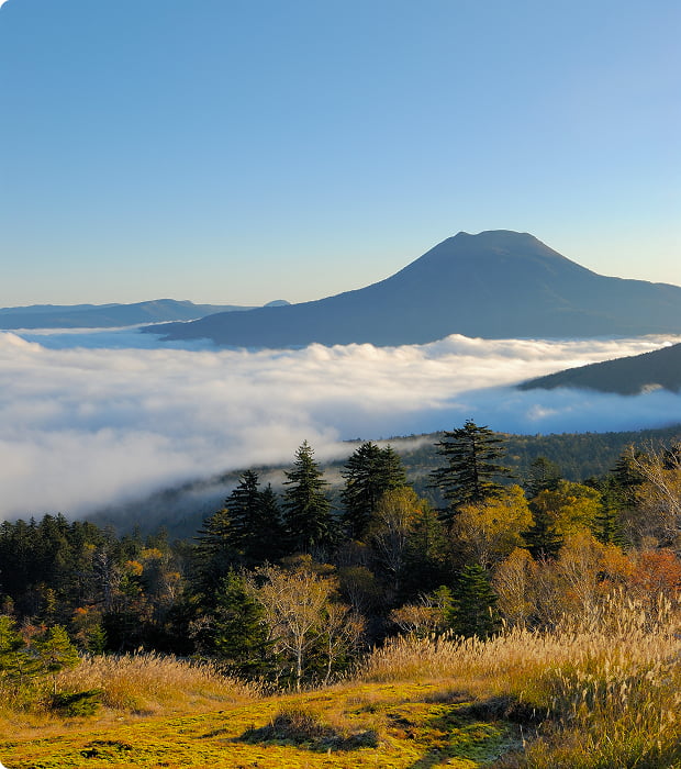 自然の風景