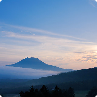 自然の風景