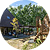 img_facility_izuba.png