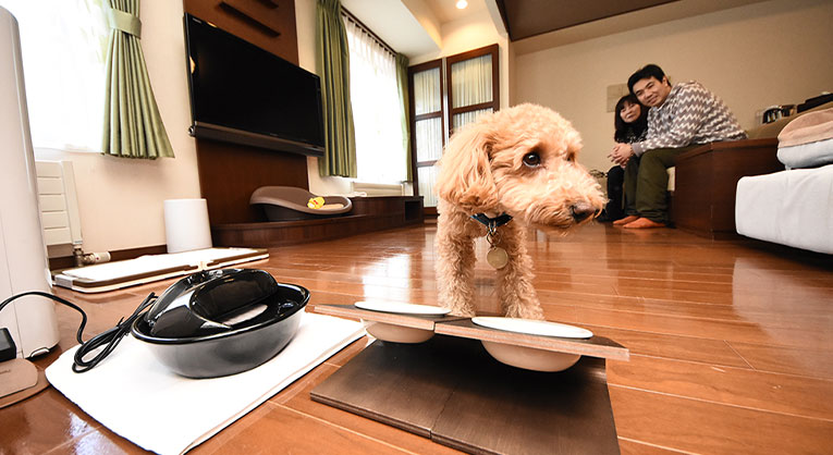 愛犬と過ごせるワンダフルなお部屋特集